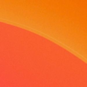 Meet your Posher, Carolyn